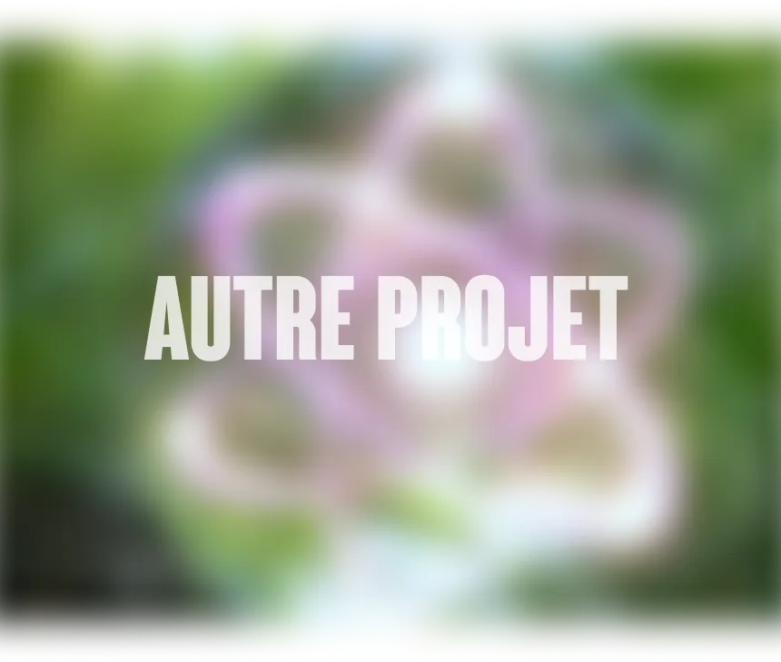autreprojet