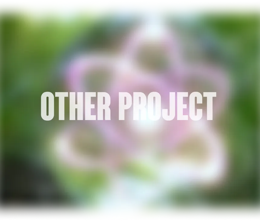otherproject